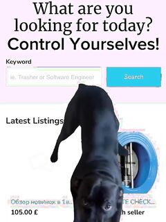 Pets & Animals