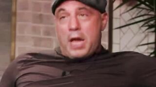 Stateless Warrior Appearance on Joe Rogan Show