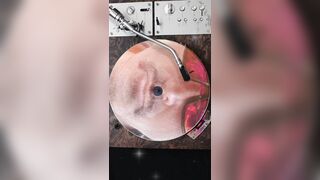 Can Stateless Warrior’s Music SOOTHE YOUR SOUL?