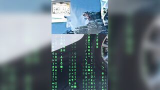 Stalker Hoe Counter Intel..