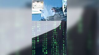 Stalker Hoe Counter Intel..