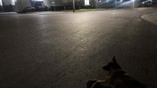 Darth Vader just killed my dog