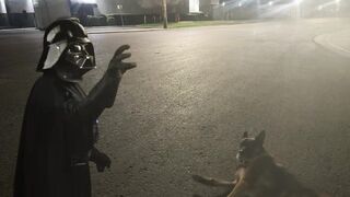 Darth Vader just killed my dog