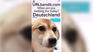 URLbandit Deutchla d Sector - infomercial