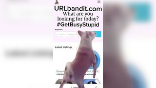 URLbandit.com — American Section “8” Recipient’s Advert
