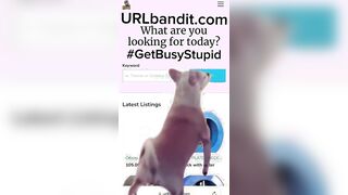 URLbandit.com — American Section “8” Recipient’s Advert