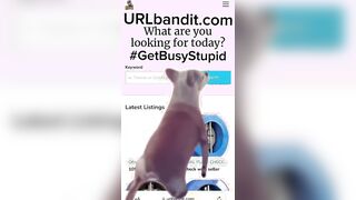 URLbandit.com — American Section “8” Recipient’s Advert