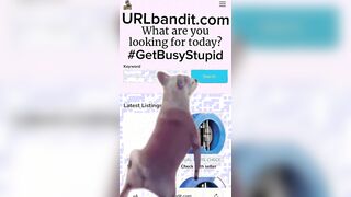 URLbandit.com — American Section “8” Recipient’s Advert