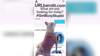 URLbandit.com — American Section “8” Recipient’s Advert