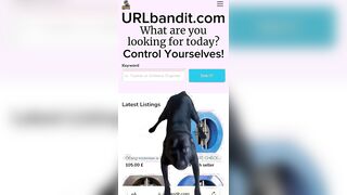 URLbandit.com — Latino Market Advert