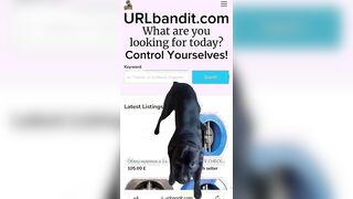 URLbandit.com — Latino Market Advert