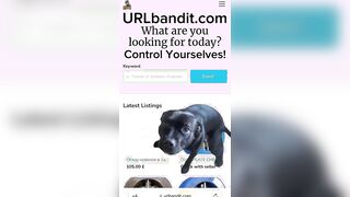 URLbandit.com — Latino Market Advert