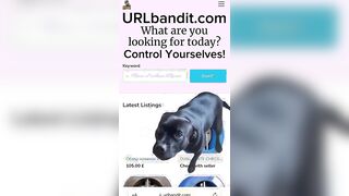 URLbandit.com — Latino Market Advert
