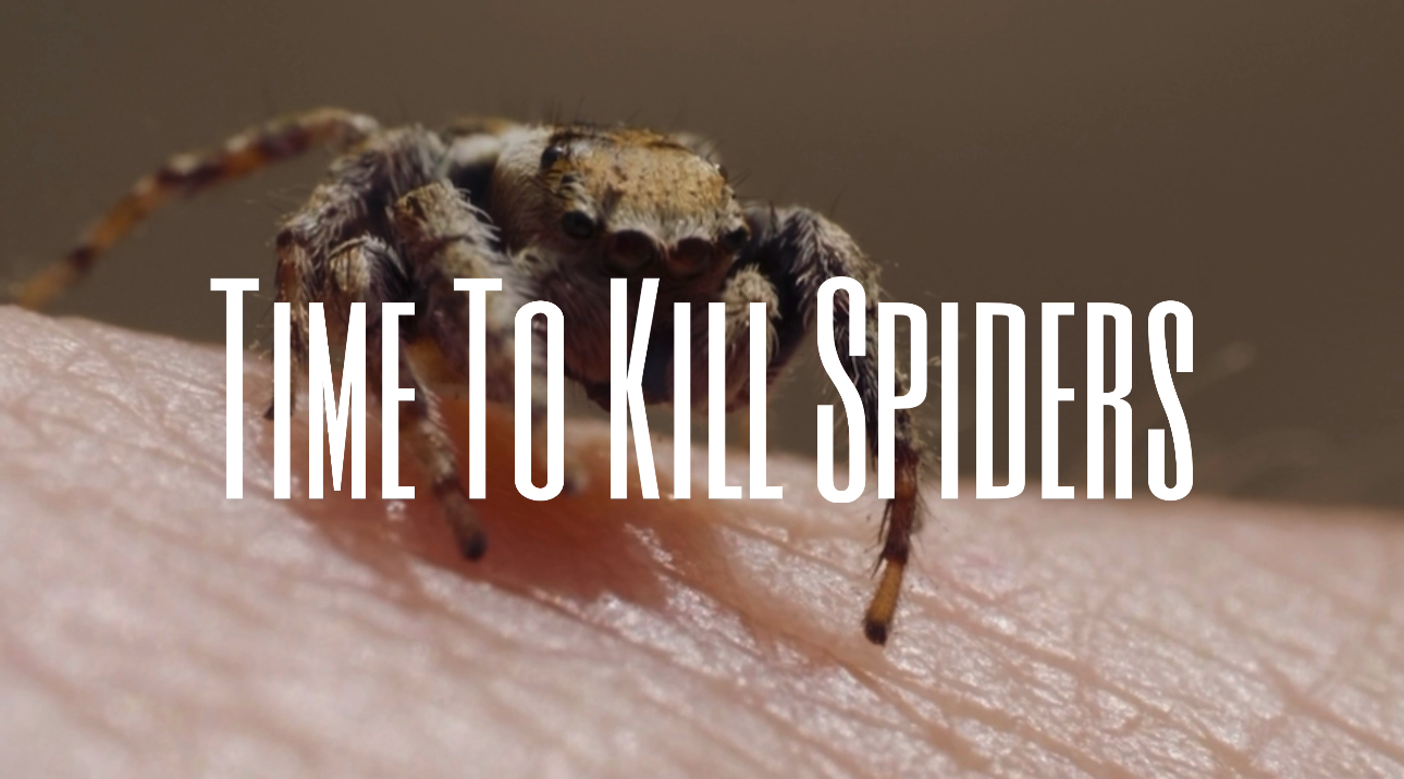 Time To Kill Spiders — Stateless Warrior