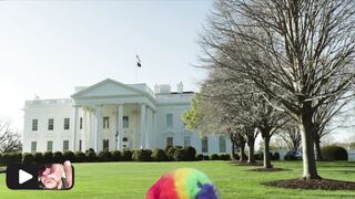 American Politics — Stateless Warrior