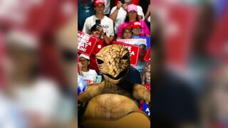 What are typical Trump supporters?