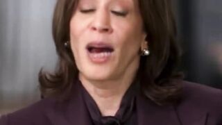 Kamala Harris hired as Stateless Warrior’s PR Rep..