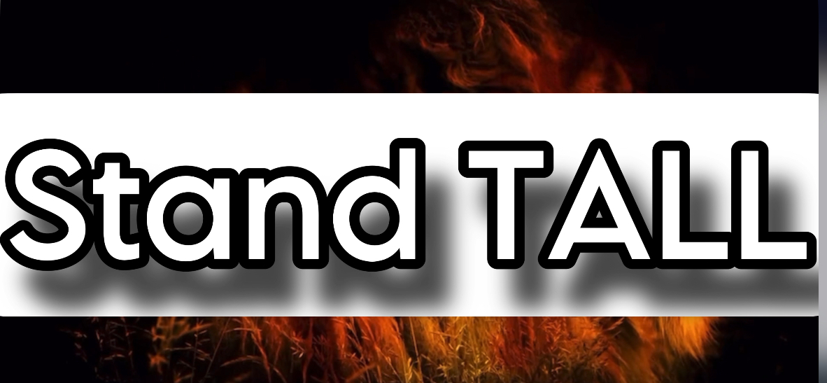 Stand Talk — Stateless Warrior