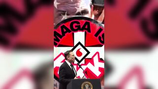 and now let’s insert appropriate background for Elon the stupid Nazi salute fuck..