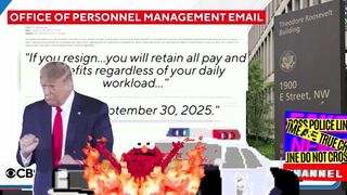 What HAPOENS When “The People” Hire a Convicted Con-Man?