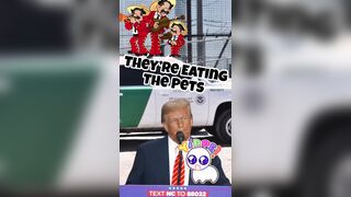 Who got Trump elected?
