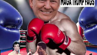 Stateless Warrior punching Donald Faghot Trump