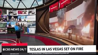 Elon has a Right to Political Affiliation , Affirmation ‘n Opinion