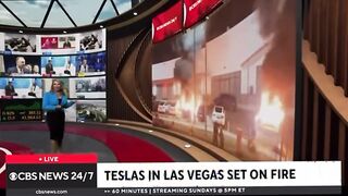Elon has a Right to Political Affiliation , Affirmation ‘n Opinion