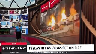 Elon has a Right to Political Affiliation , Affirmation ‘n Opinion