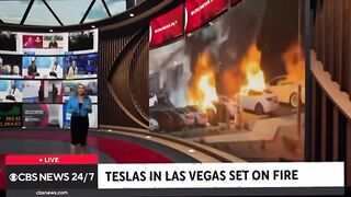 Elon has a Right to Political Affiliation , Affirmation ‘n Opinion