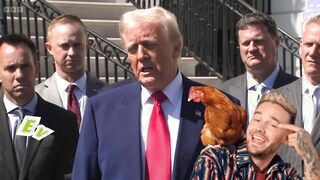American Chicken$HIT