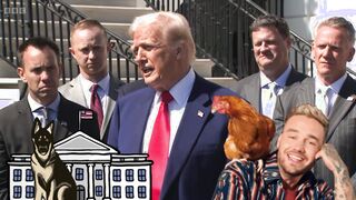 American Chicken$HIT