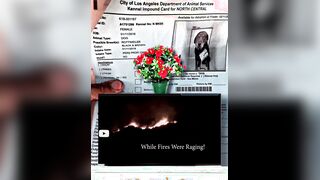 How Government Gangsters abducted my beloved mother