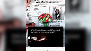 How Government Gangsters abducted my beloved mother