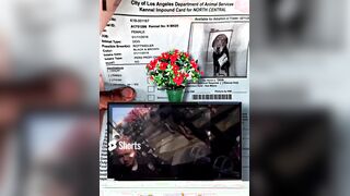 How Government Gangsters abducted my beloved mother