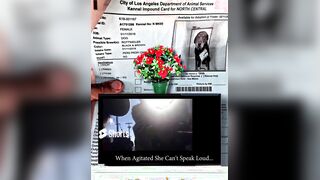 How Government Gangsters abducted my beloved mother
