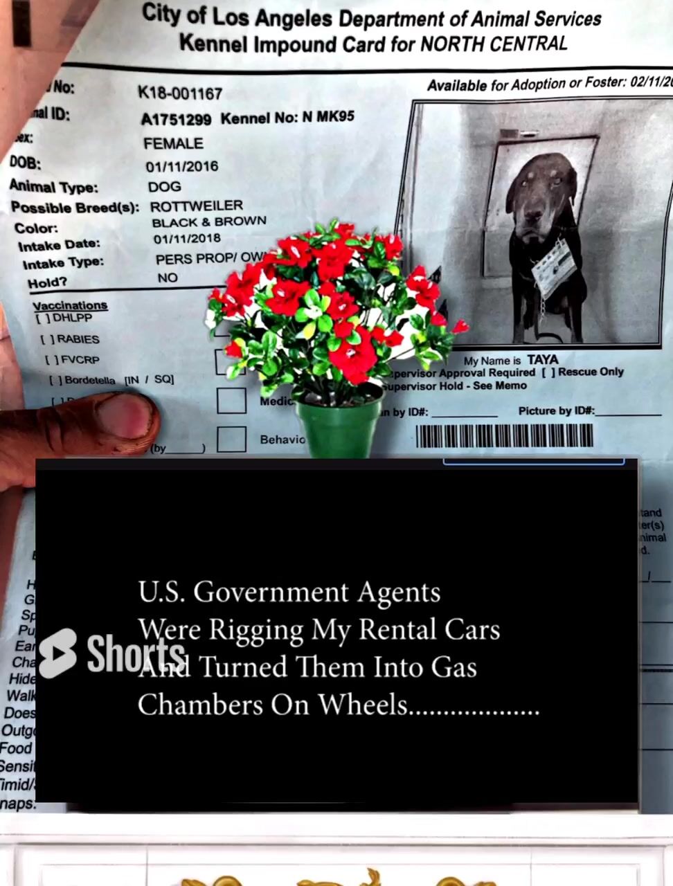 How Government Gangsters abducted my beloved mother