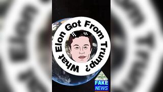 What Elon Got From Trump