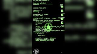 NSA Recruitment Assfuck Session