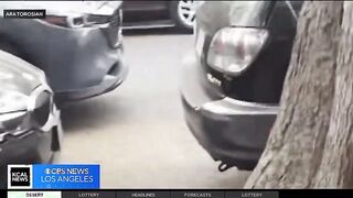 Fuck TRUMP GESTAPO MODUS OPERANDI!