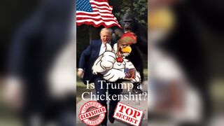Is Trump a Chickenshit?