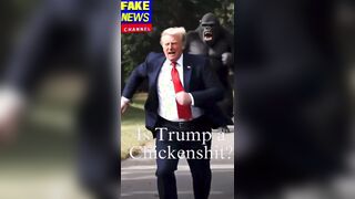 Is Trump a Chickenshit?