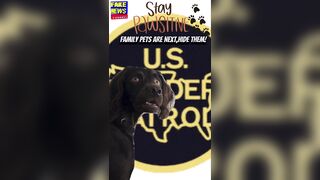 Senile Trump Wants To Deport Your PETS!