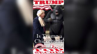 Is Trump a BITCH?