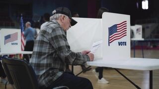 Fuck Trump 2024 — Stateless Warrior