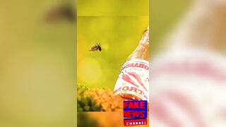 ICE Bee Squad Raid