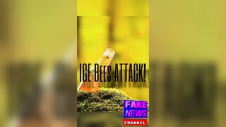 ICE Bee Squad Raid