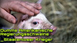 Dumme Amerikanische Reggierungsschweine - Staatenloser Krieger