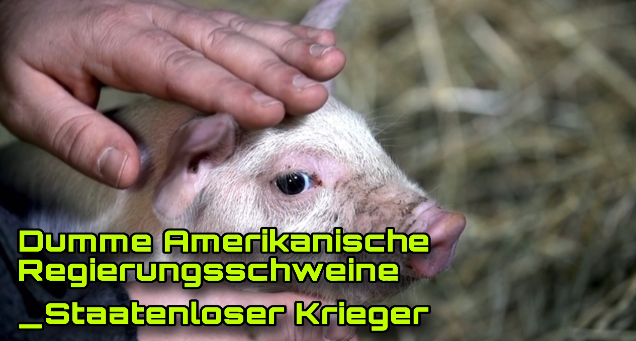 Dumme Amerikanische Reggierungsschweine - Staatenloser Krieger