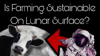 Is Farming SUSTAINABLE On Any Lunar Surface